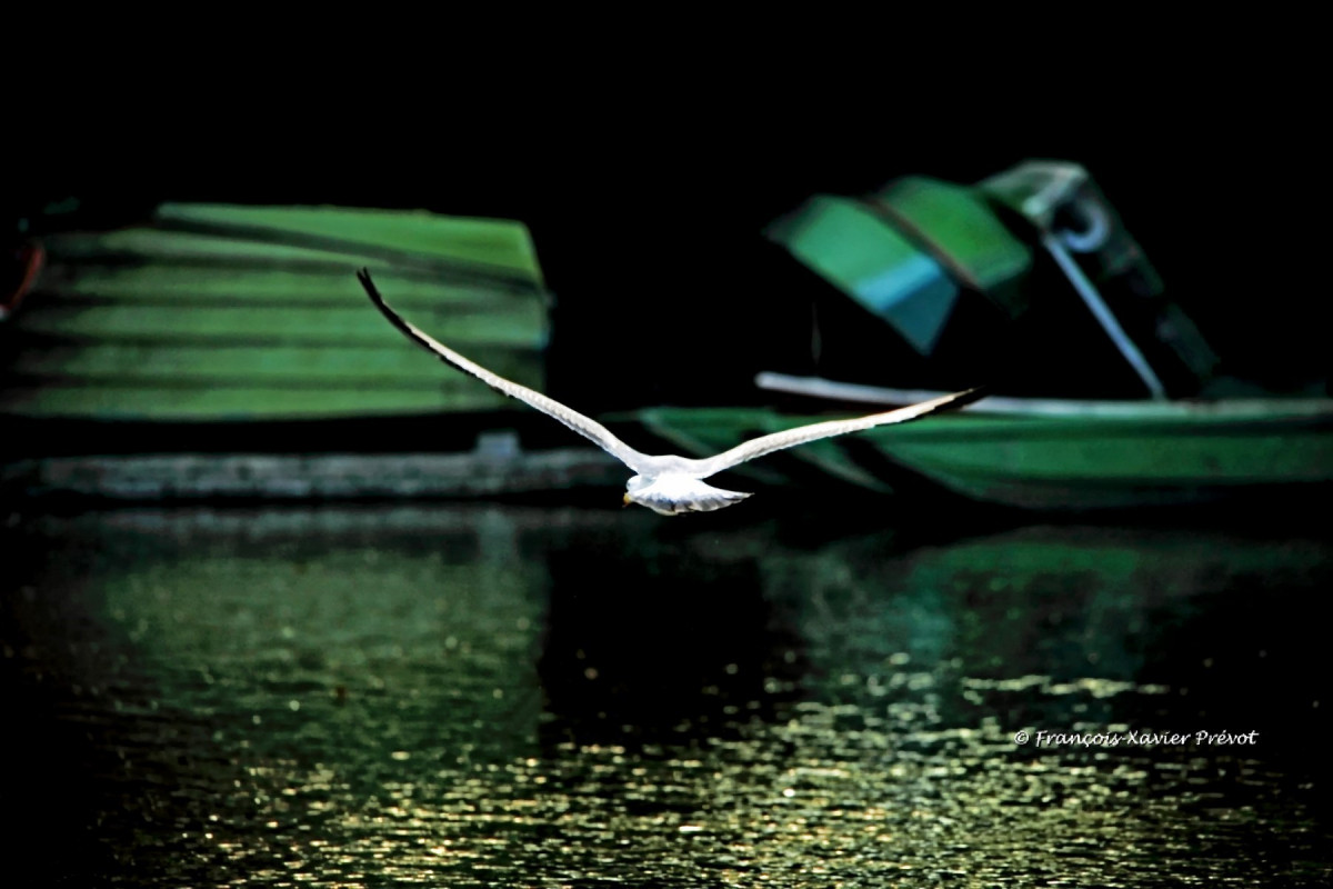 Comprendre la vitesse d'obturation lors d'un cours photo