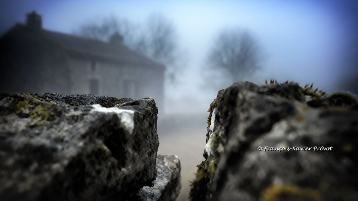 Comment créer un bokeh flou d'arrière plan