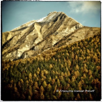 Photo d'Art