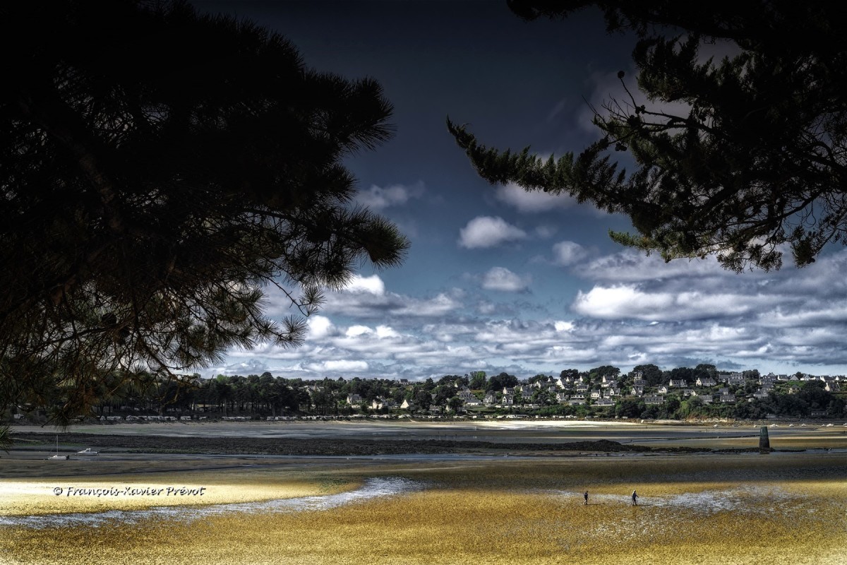 Photographe Stage Photo Finistère Photographe Stage Photo Finistère