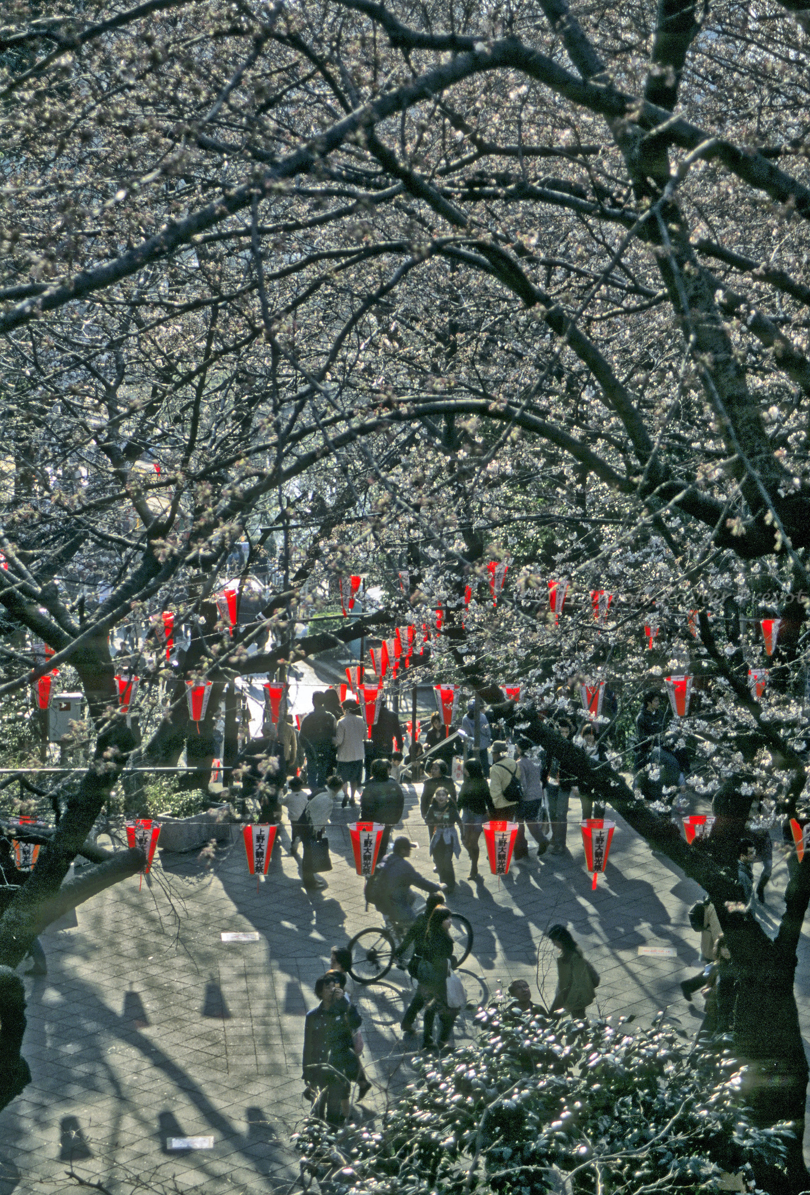 photo du Japon