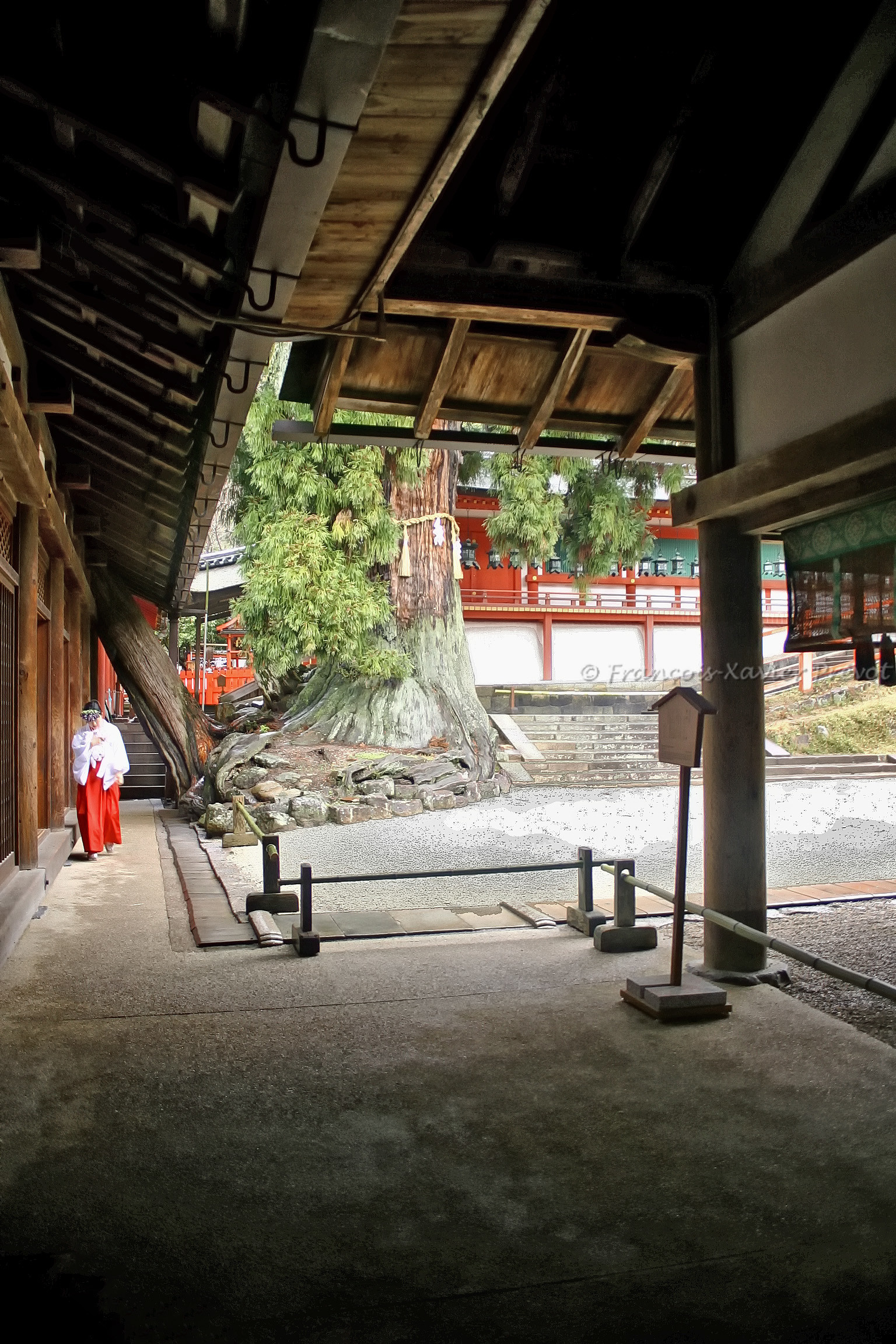 photo du Japon