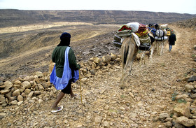 photo de désert