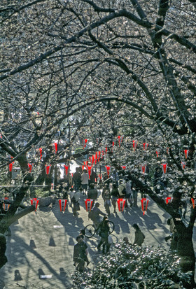 photo du Japon