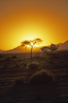 Vente de Photos d'Art