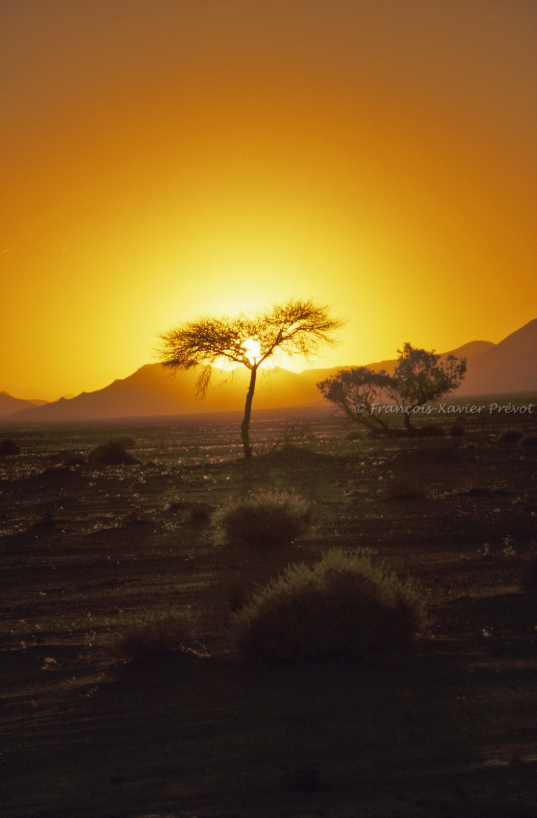 Vente de Photos d'Art