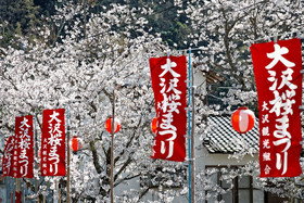 photo du Japon