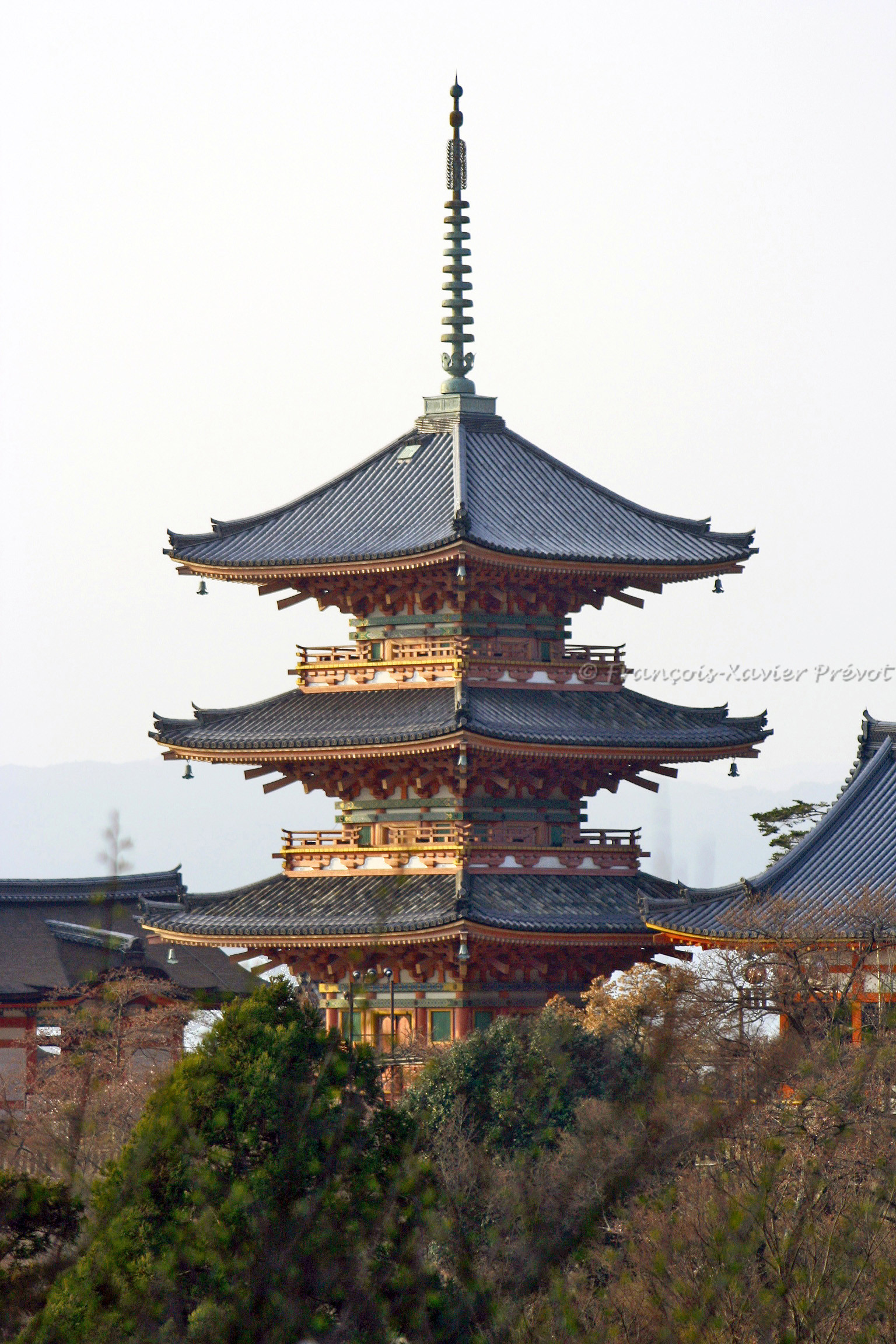 photo du Japon