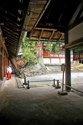 photo du Japon