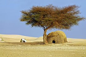 photo de désert