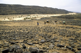 photo de désert
